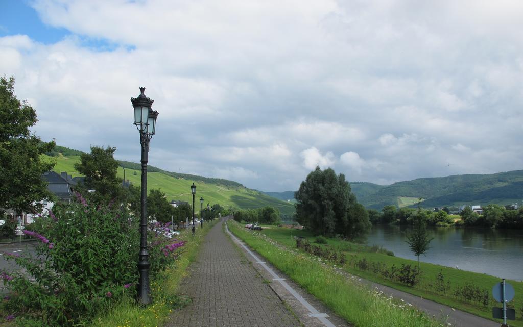 Mosel - River - Quartier 31 Lieser Esterno foto