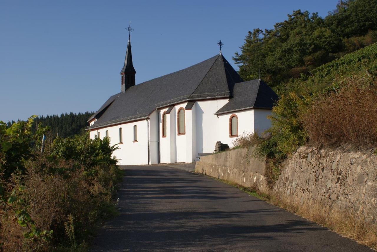 Mosel - River - Quartier 31 Lieser Esterno foto